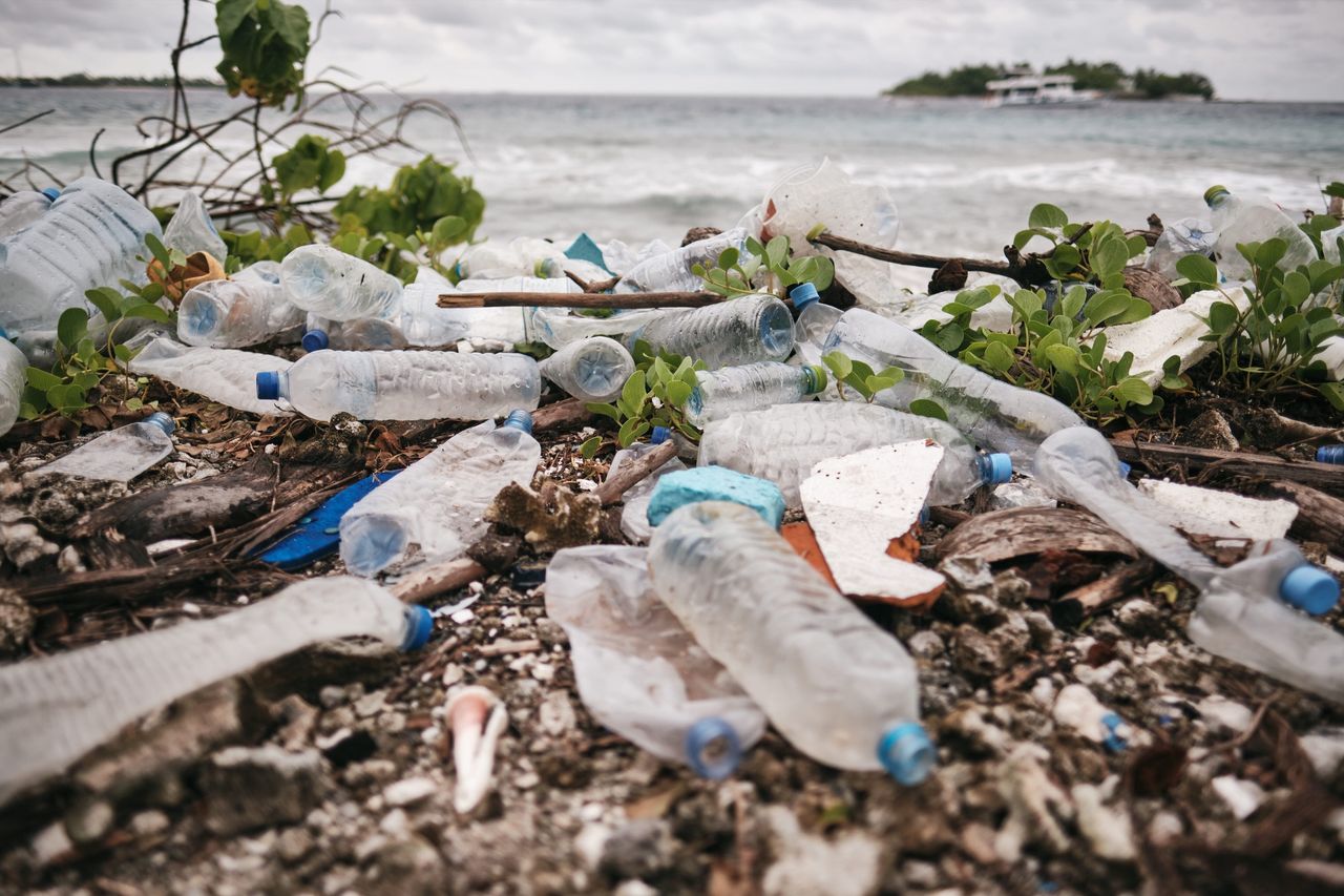 Mikroplastik wykryto w jądrach. Ma wpływ na płodność?