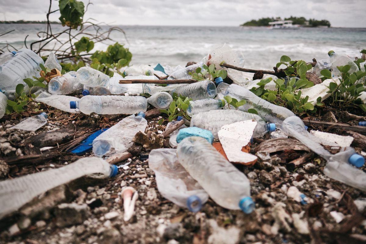 Nowe badania wskazują, że mikroplastik wpływa na płodność u mężczyzn