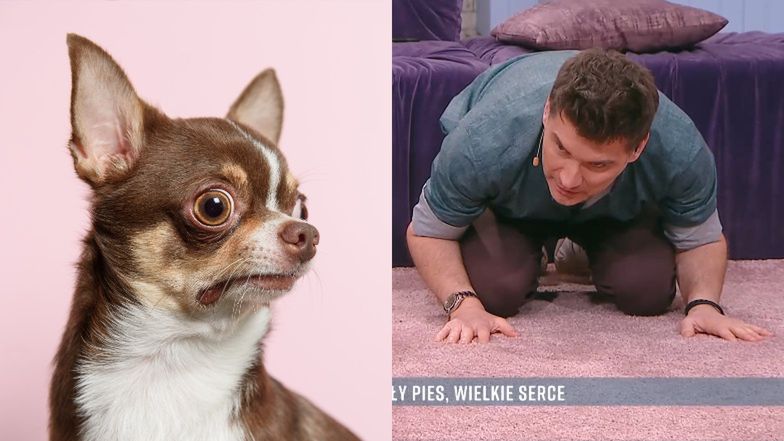 Wpadka w śniadaniówce