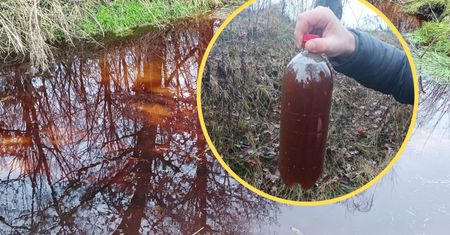 Z pięknej rzeki powstało bagno. Katastrofa ekologiczna pod Olsztynem