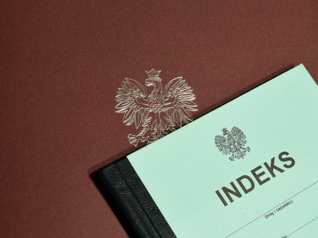 Rekordowa rekrutacja na Uniwersytecie Jana Długosza w Częstochowie. Sprawdź TOP 10 kierunków