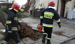 Dramat tuż przed świętami. Zniszczone domy i dobytki