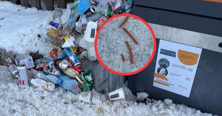Skandaliczny widok w Tatrach. Zostawili je przy śmieciach