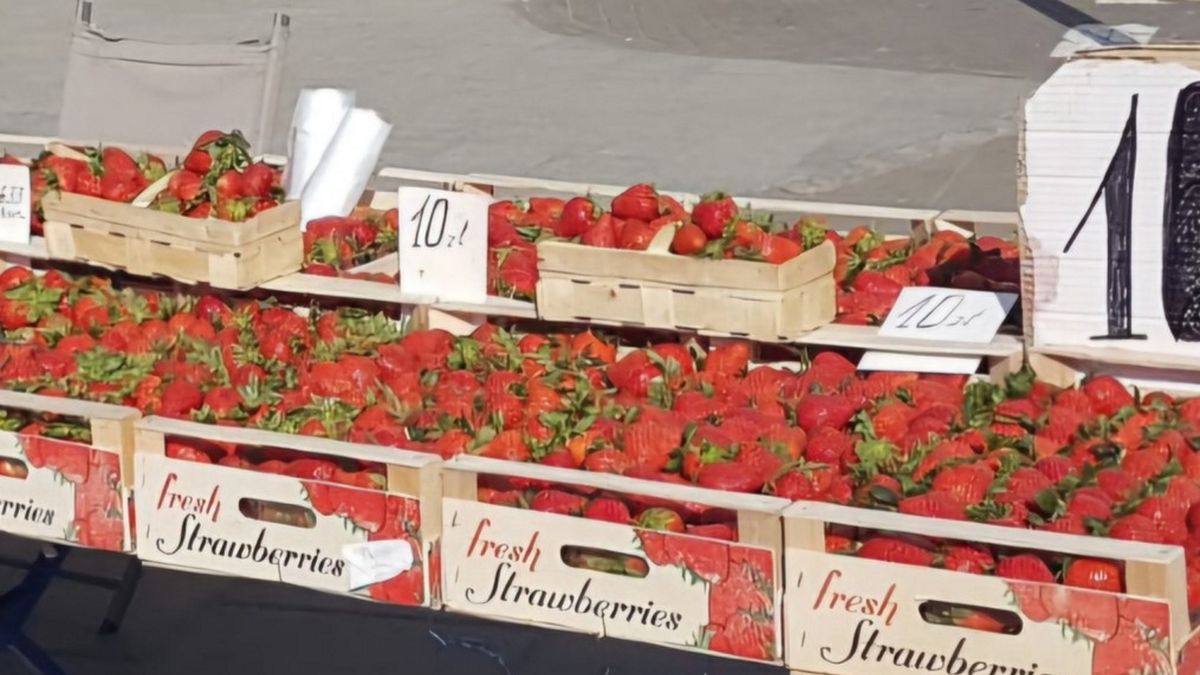 Truskawki. Zdjęcie ilustracyjne.