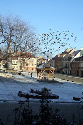 Obraz