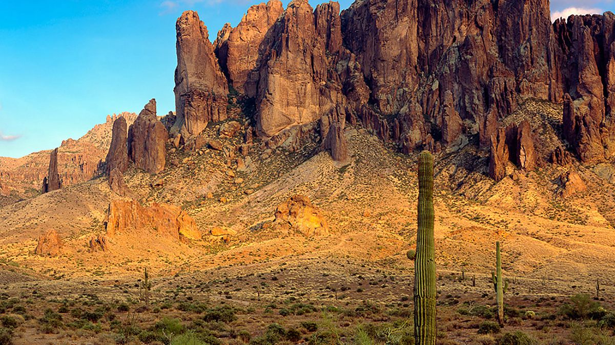 Nie miał najmniejszej szansy. Wszystko przez nieprzemyślane selfie 1