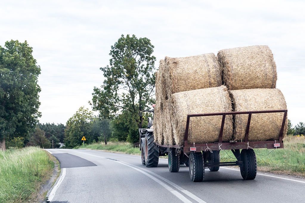 Emerytura dla rolnika. Tyle wynosi dla osób z 25‑letnim stażem