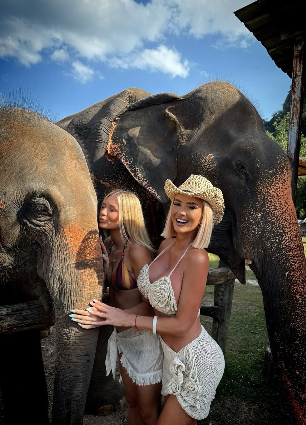 Izabela Macudzińska dokarmia słonie 