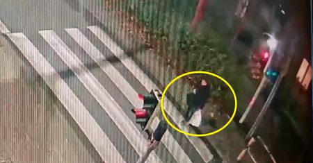Potrącenie pieszego na przejściu. Policja pokazała nagranie