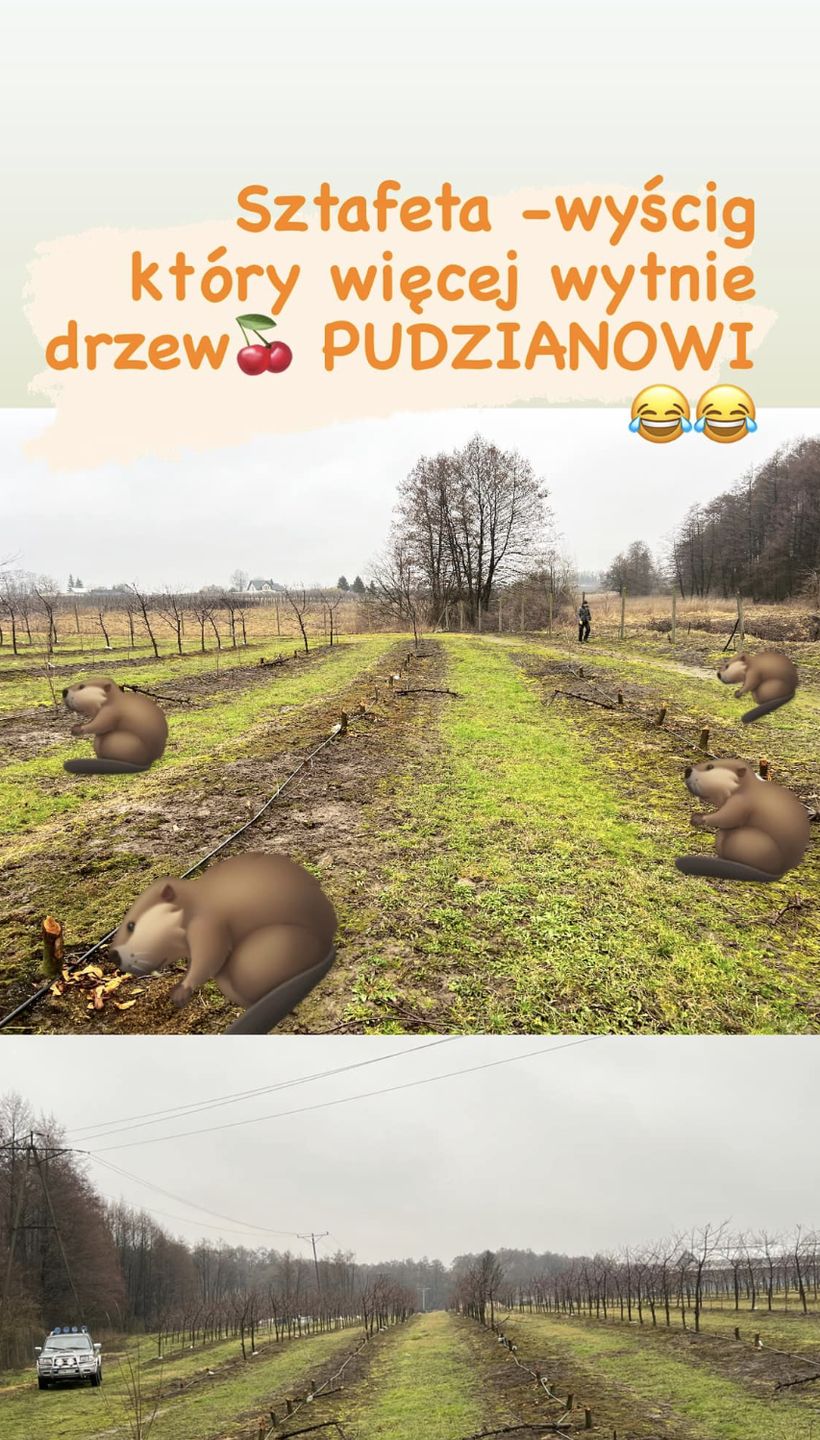 Sad Pudzianowskiego zdemolowany