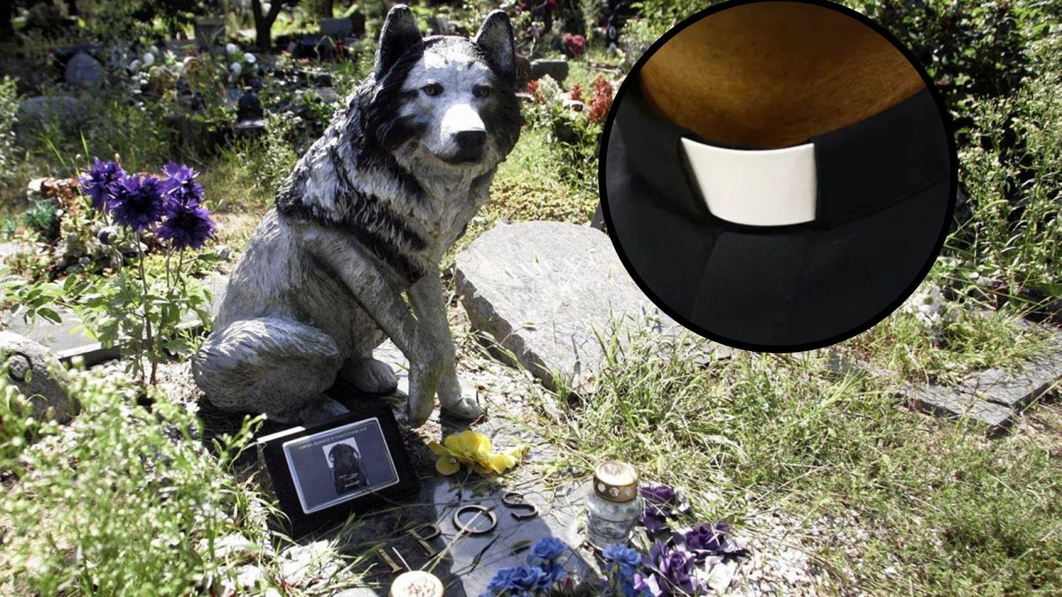 Spór o pochówek zwierząt w Gliwicach