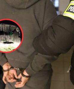 Weszli do mieszkania na Podlasiu. Namiot w sypialni wzbudził podejrzenia