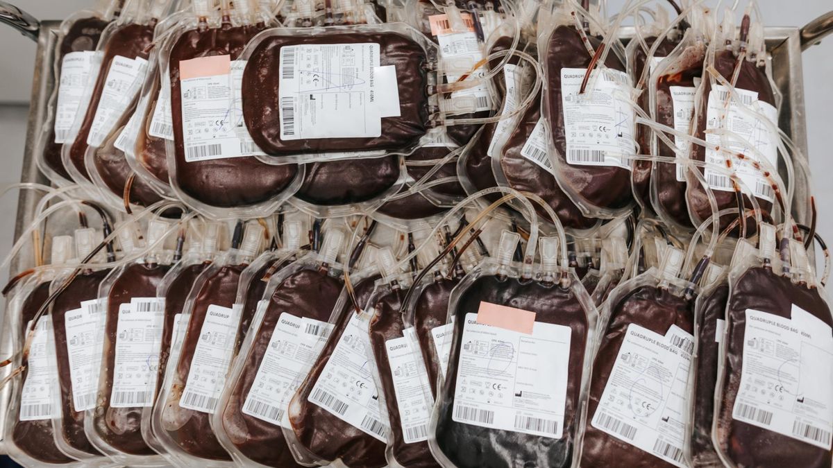 Wpływ grupy krwi na stan zdrowia