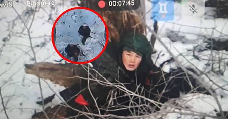 Koreańczycy pod Kurskiem. Nagrania z dronów