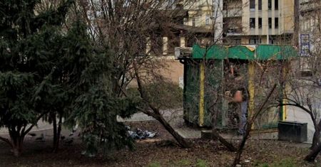 Szczury przejmują Wrocław. "Aż ciarki przechodzą"