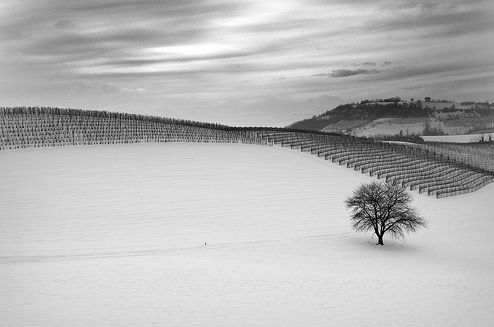 15 inspirujących zimowych fotografii [GALERIA] 6
