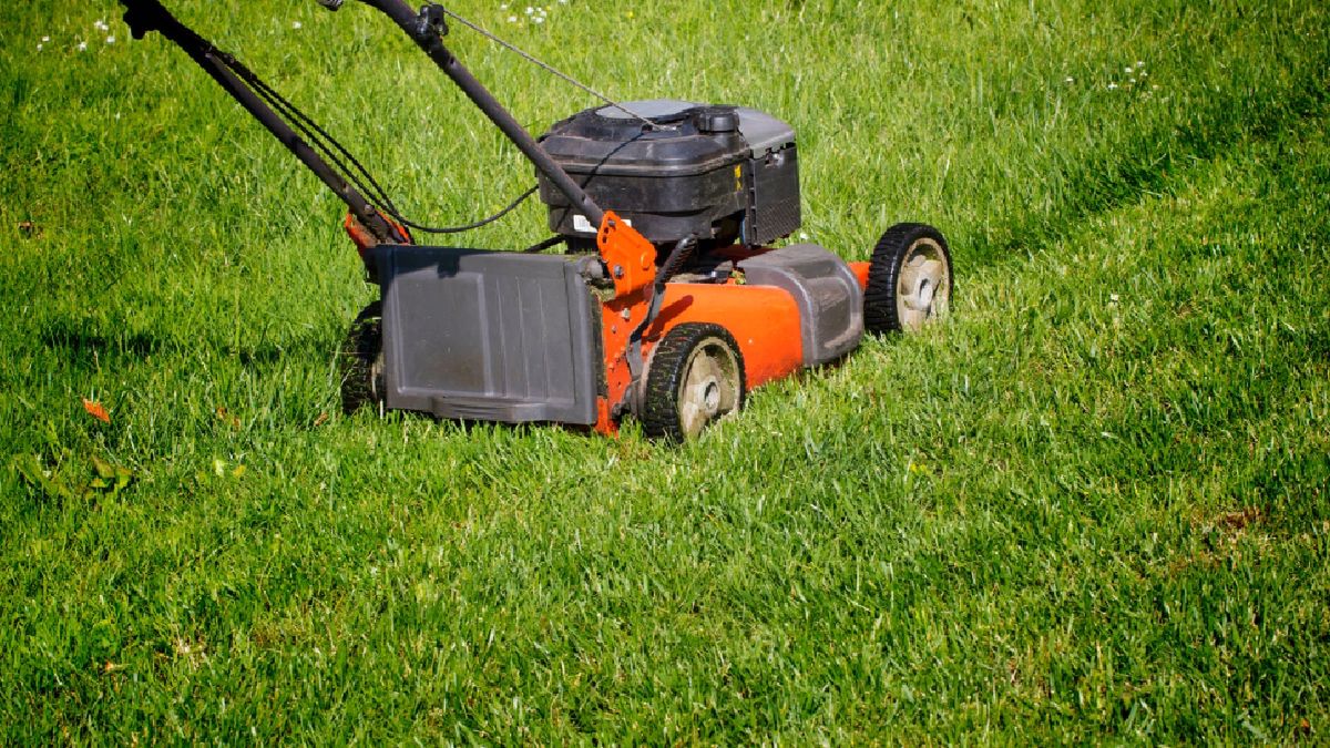 Sprawdź, czy możesz kosić trawę w każdym terminie