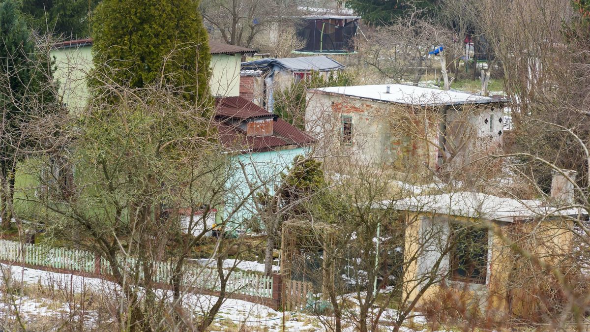 Reporter archiwum 2025 02
24.02.2025 Elblag N/z Rodzinne Ogrodki Dzialkowe  fot. Stanislaw Bielski/REPORTER
Stanislaw Bielski/REPORTER