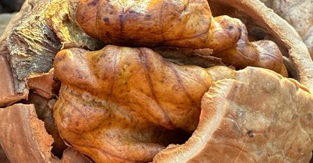 Jedz garść dziennie. Wzmocnisz serce, a mózg będzie działał jak komputer