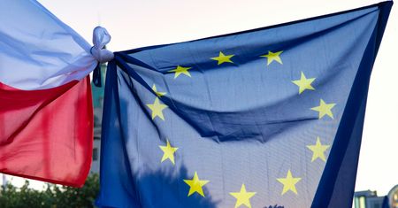 Polacy o polexicie. Wyniki sondażu mogą zaskoczyć