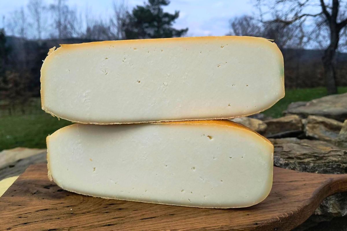 Koza górska z Serowarni Swoboda