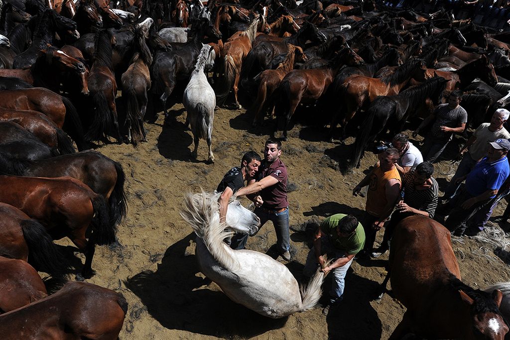 Znamy wyniki La Grande PHOTO International Photography Awards 2016 13