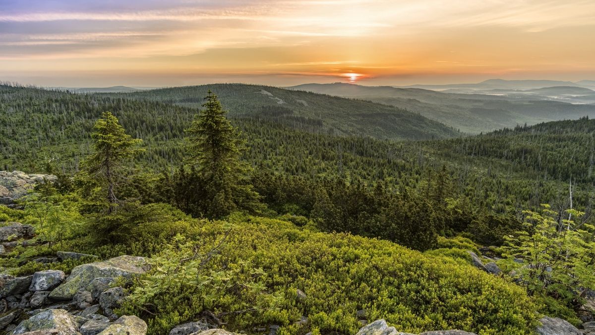 Słowacki "trójkąt bermudzki". Ludzie znikają tu bez śladu
