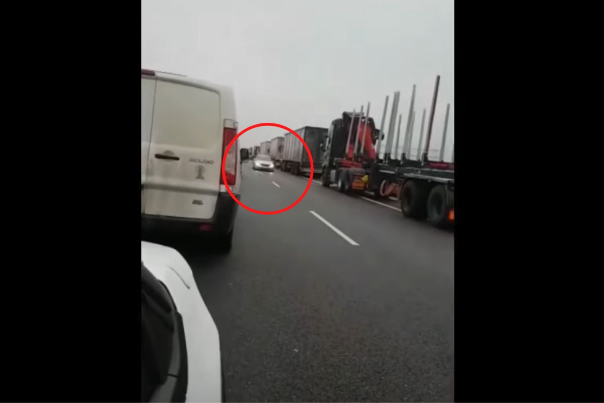 Kadr mrożącego krew w żyłach wideo 