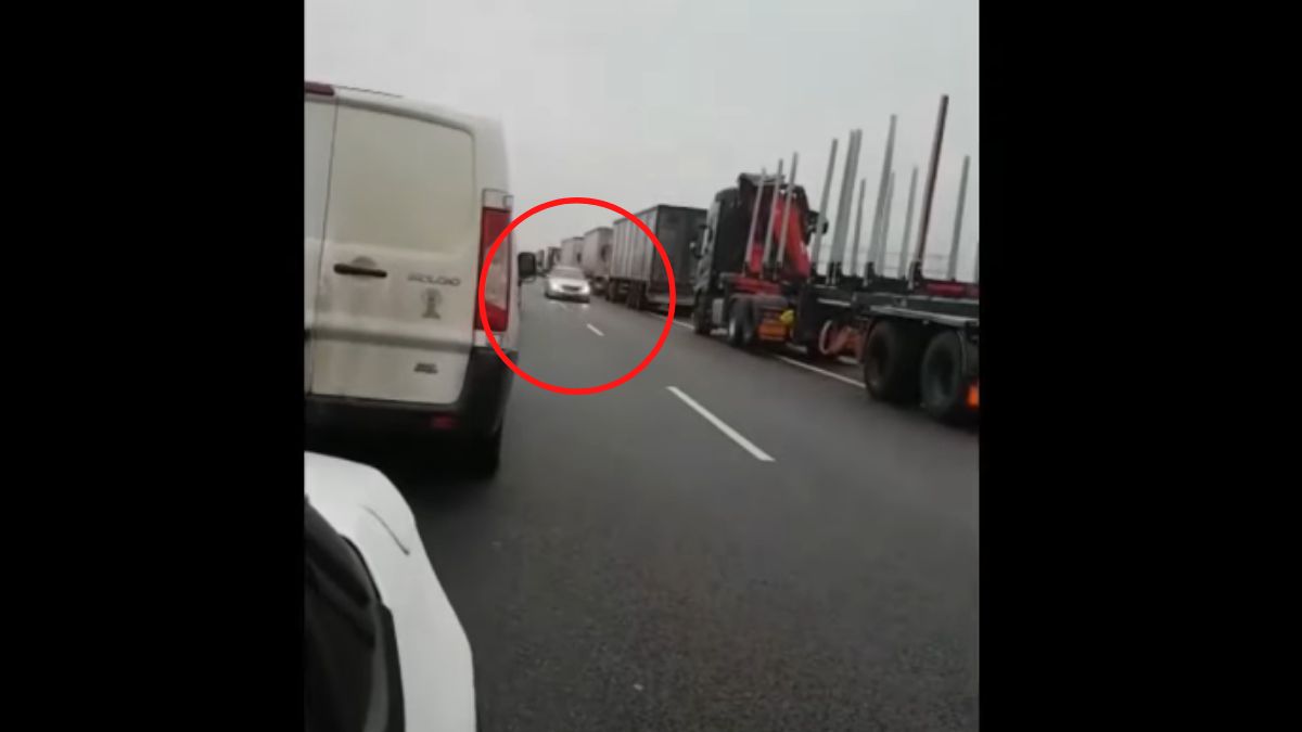 Kadr mrożącego krew w żyłach wideo 