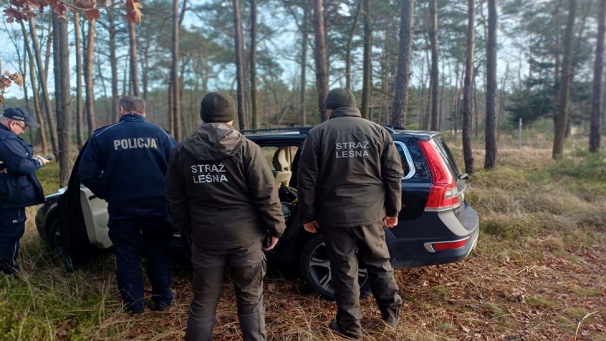 Leśnicy natknęli się w lesie na kradzione auto