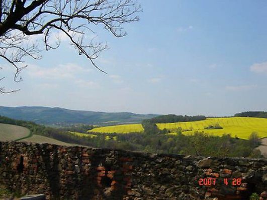 Obraz