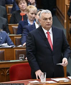 Orban poczuł wiatr w żagle. Apel po rozmowie Trump-Zełenski