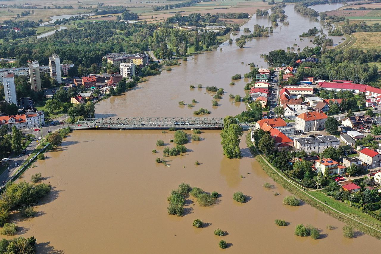 Wysoki poziom wody w Odrze w Oławie 