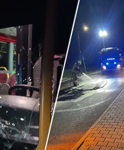 Autobus i auto zderzyły się z jeleniem. Zwierzę nie przeżyło