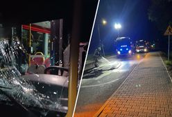 Autobus i auto zderzyły się z jeleniem. Zwierzę nie przeżyło