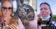 Anna Mucha stała się obiektem HEJTU za to, że uratowała życie szarakowi. "Ludzie z głodu umierają, a ty króliczka będziesz leczyć"