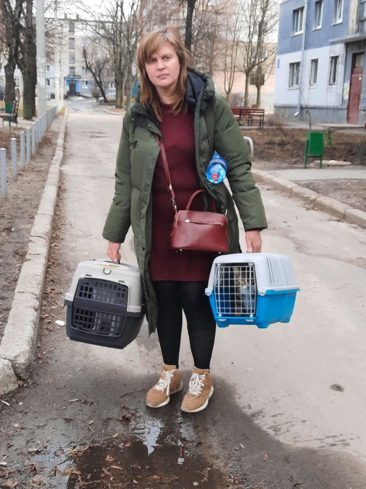 Pani Tatiana ratuje życie zwierząt w Charkowie
