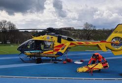 Tragedia na Dolnym Śląsku. Na 15-latka spadło drzewo