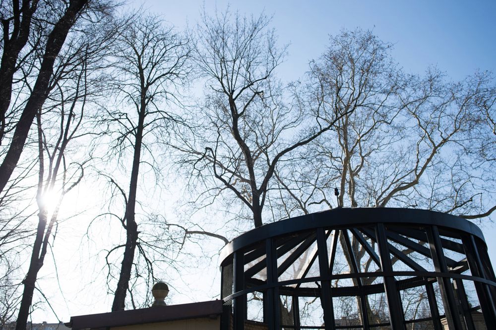 Nikon Df - niesamowicie piękny i piekielnie niewygodny [test] 54
