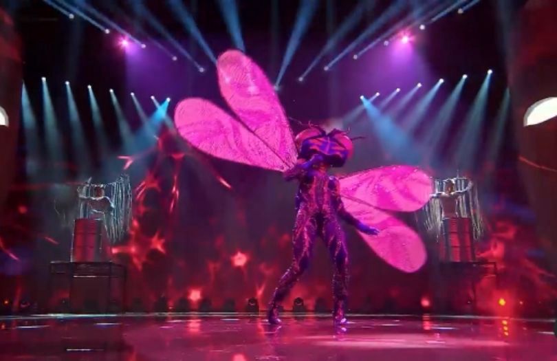 "Mask Singer". Widzowie obstawiają, kto kryje się w kostiumach Ważki, Deszczu, Bociana i Koguta