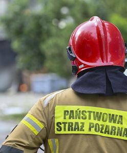 Pożar pod Warszawą. Dach hali zapadł się do środka