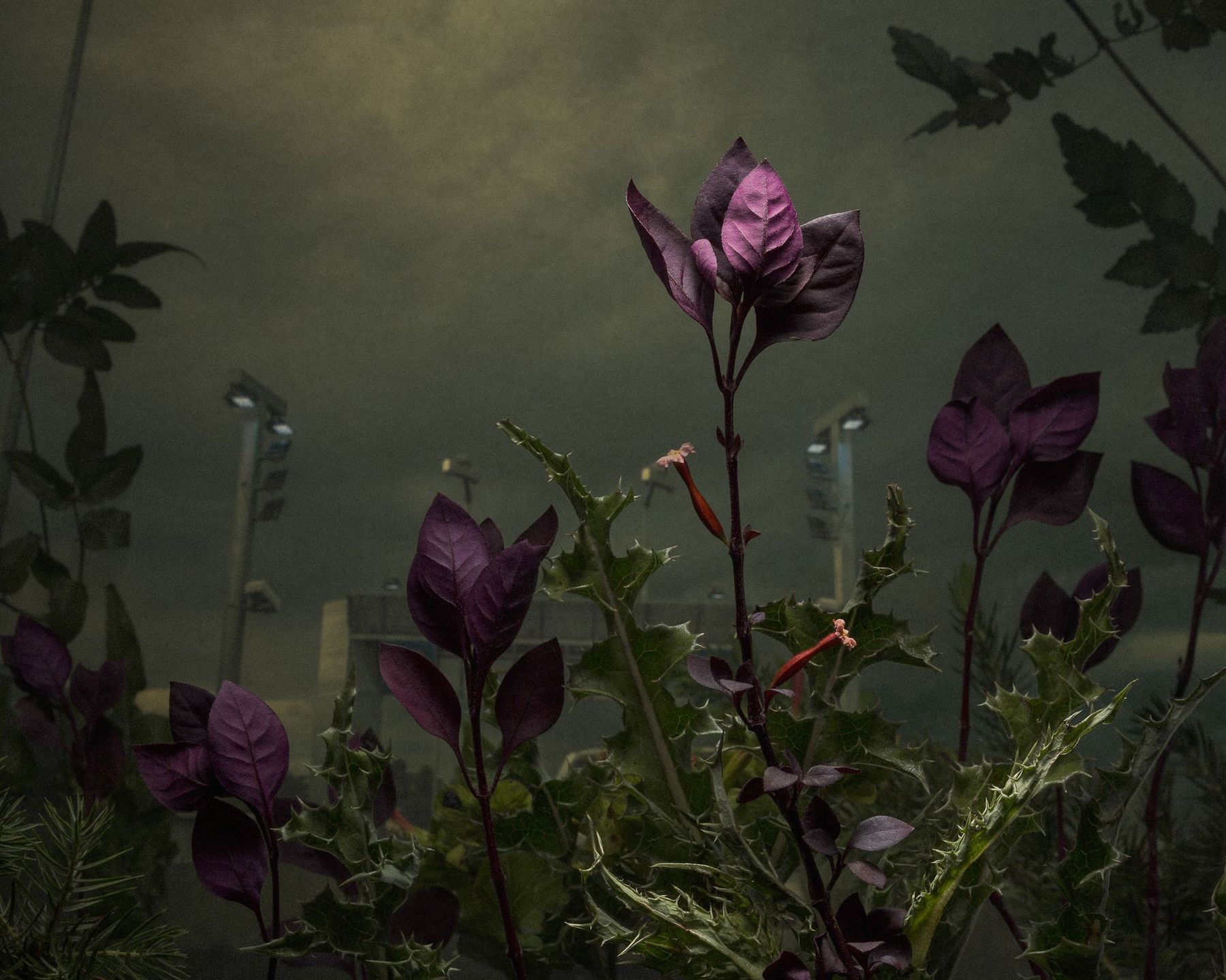 Dwóch Polaków wśród zwycięzców prestiżowego konkursu Magnum Photography Awards 2017 47