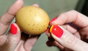 Prosty trik na perfekcyjnie ugotowane jajko. Wystarczy pinezka lub wykałaczka