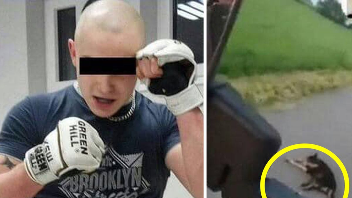 Rafał B. został skazany za zabicie psa ze szczególnym okrucieństwem 