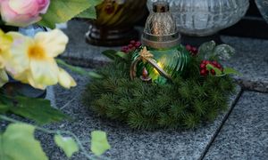 Kradną gałęzie na cmentarne stroiki. Straż Leśna rusza z mandatami