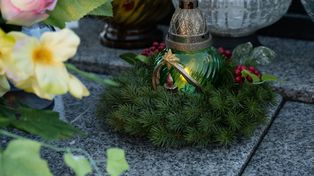 Kradną gałęzie na cmentarne stroiki. Straż Leśna rusza z mandatami