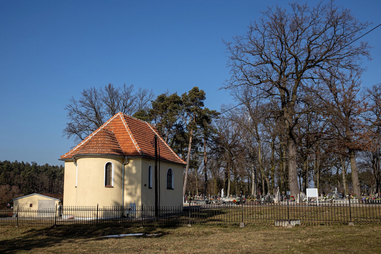 Do napaści doszło w pobliżu cmentarza w Skokach