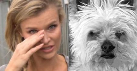 Joanna Krupa żegna ukochanego pieska: "Będziemy za tobą tęsknić"