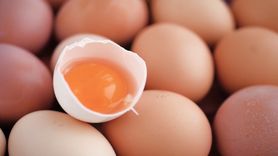 Jedzenia jajka raz dziennie jest dobre dla serca (WIDEO)