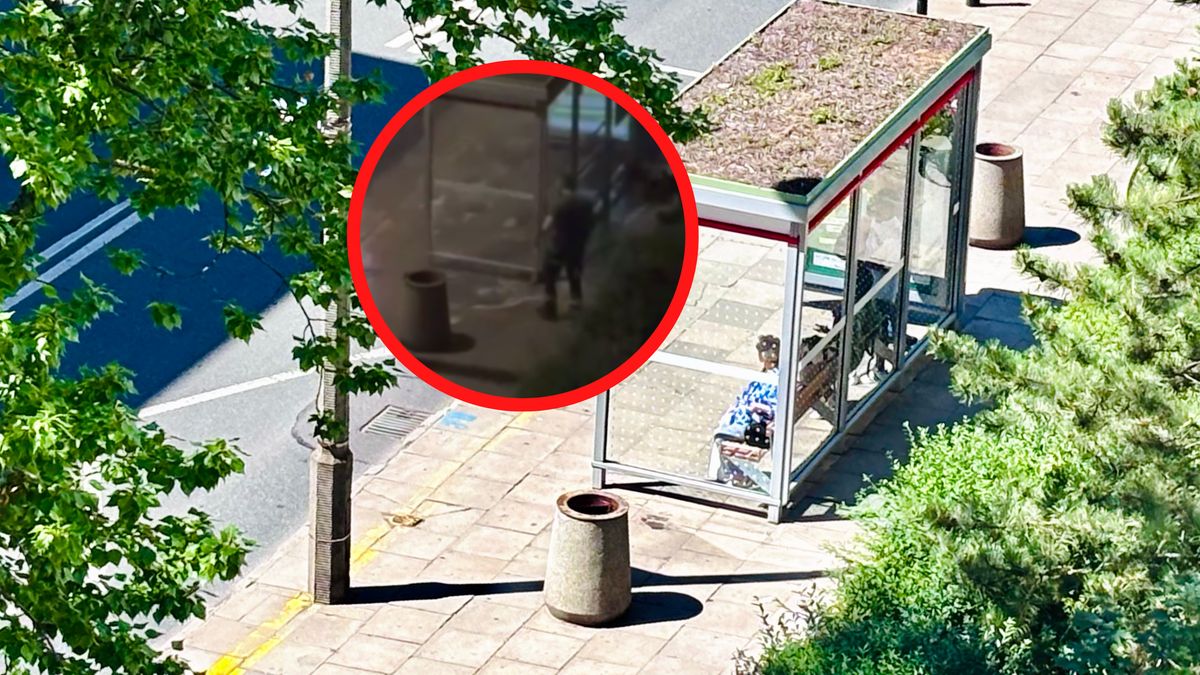 Oburzyła się nocnymi działaniami służb technicznych.